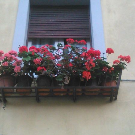 维特拉La Casa Dei Fiori公寓 外观 照片